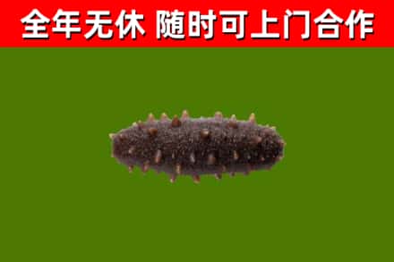克孜勒苏州烟酒回收干海参.jpg